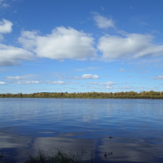 Водные объекты